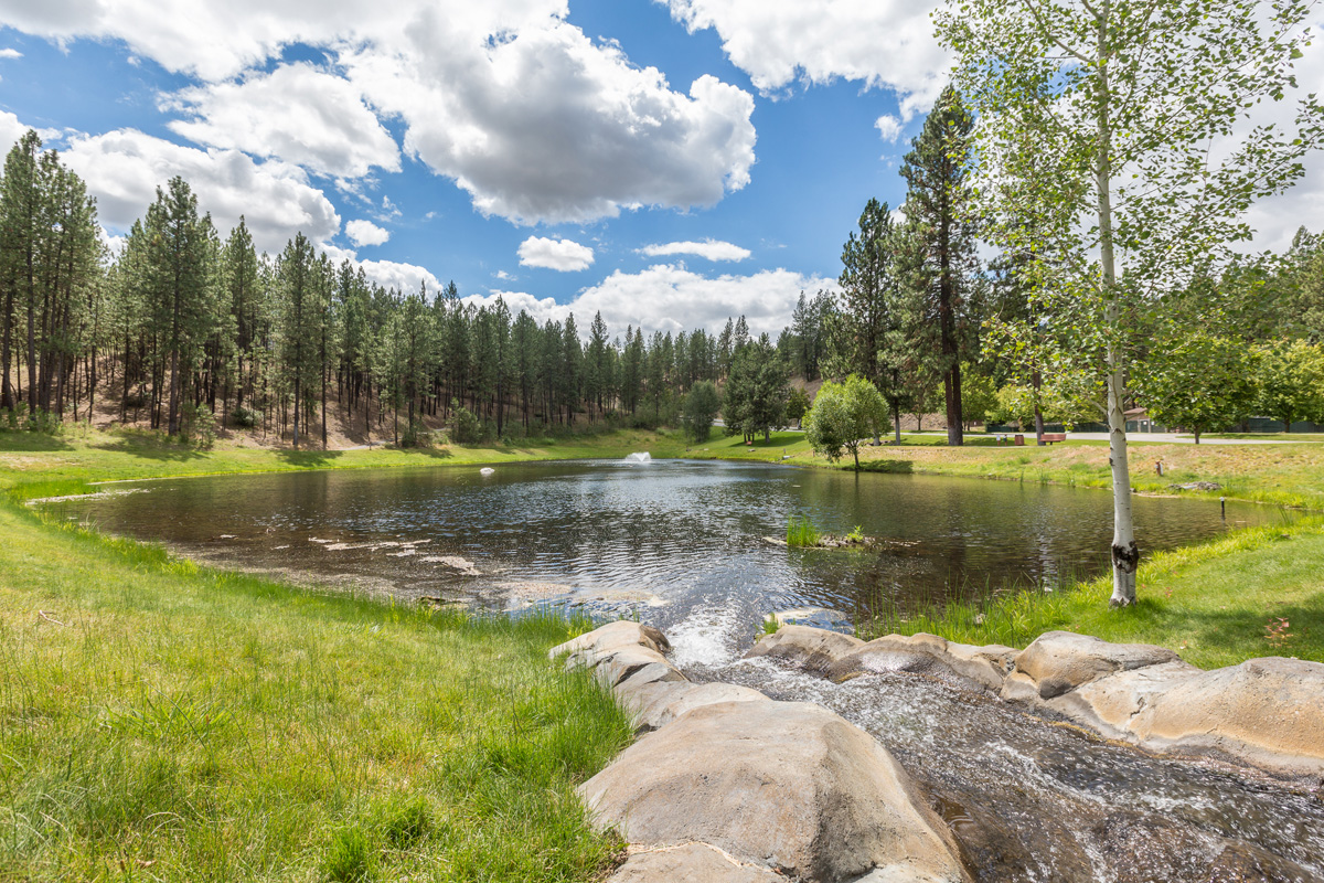 Monthly Median Price For Eagle Ridge